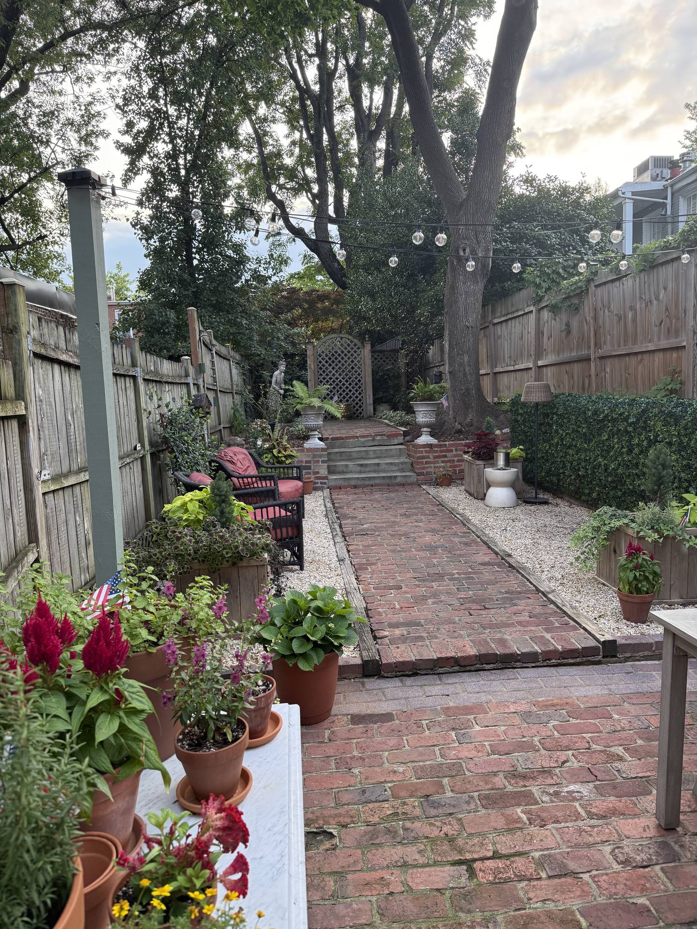 Brick garden path under string lights, Georgetown